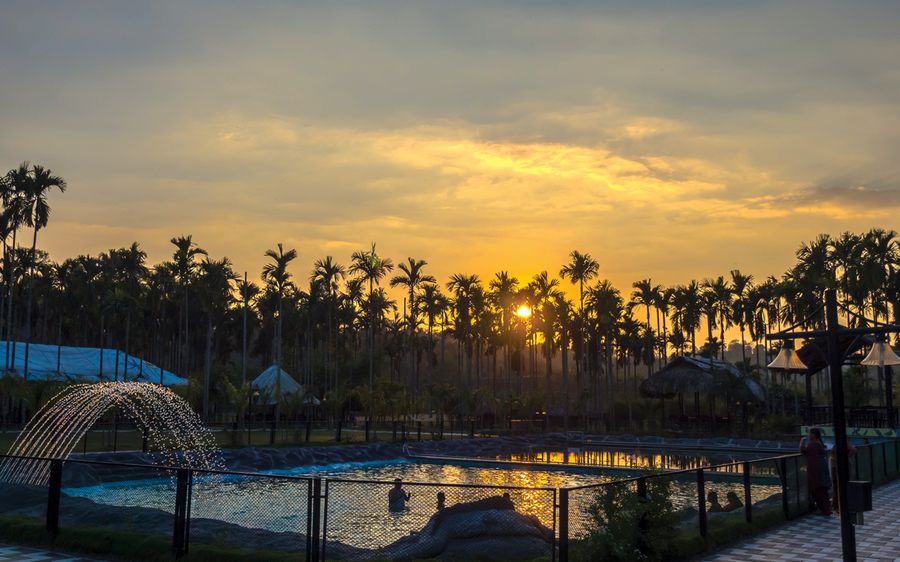 Best Resorts in Wayanad