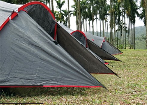 Premium resorts in Wayanad
